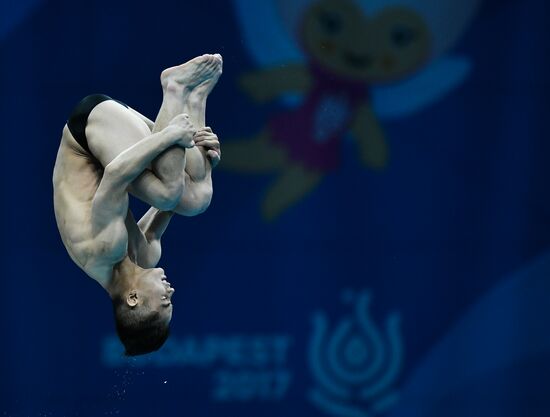 Чемпионат мира FINA 2017. Прыжки в воду. Мужчины. Вышка 10 м. Финал