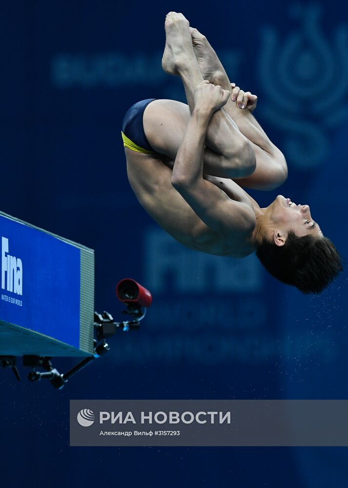 Чемпионат мира FINA 2017. Прыжки в воду. Мужчины. Вышка 10 м. Финал