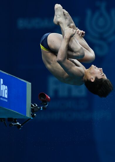 Чемпионат мира FINA 2017. Прыжки в воду. Мужчины. Вышка 10 м. Финал