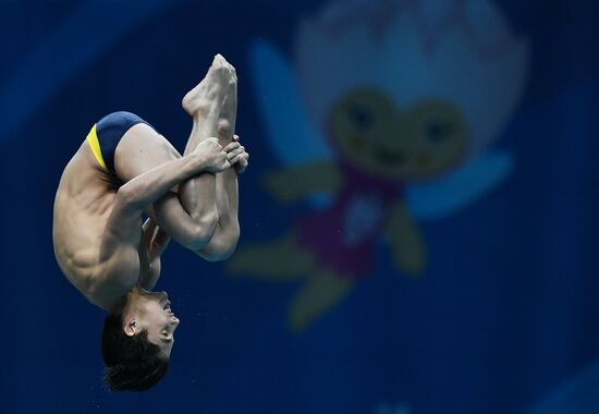 Чемпионат мира FINA 2017. Прыжки в воду. Мужчины. Вышка 10 м. Финал