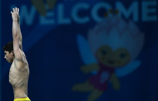 Чемпионат мира FINA 2017. Прыжки в воду. Мужчины. Вышка 10 м. Финал