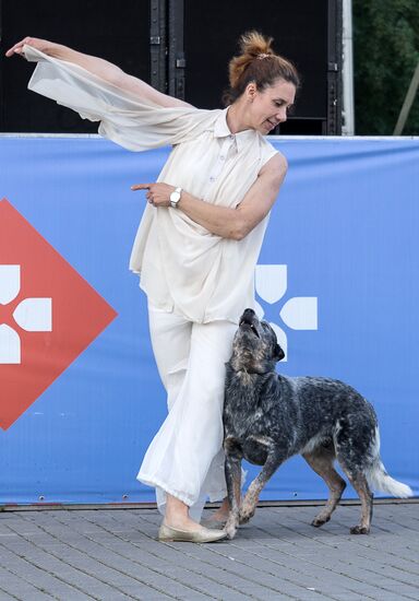 Фестиваль собак и людей "Спутники жизни"