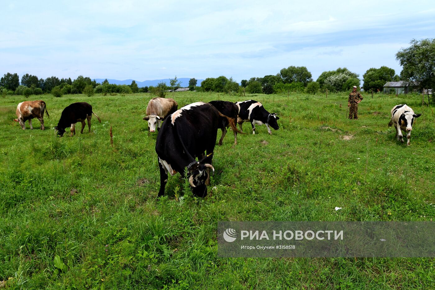 Обладатели "дальневосточного гектара" в Хабаровском крае