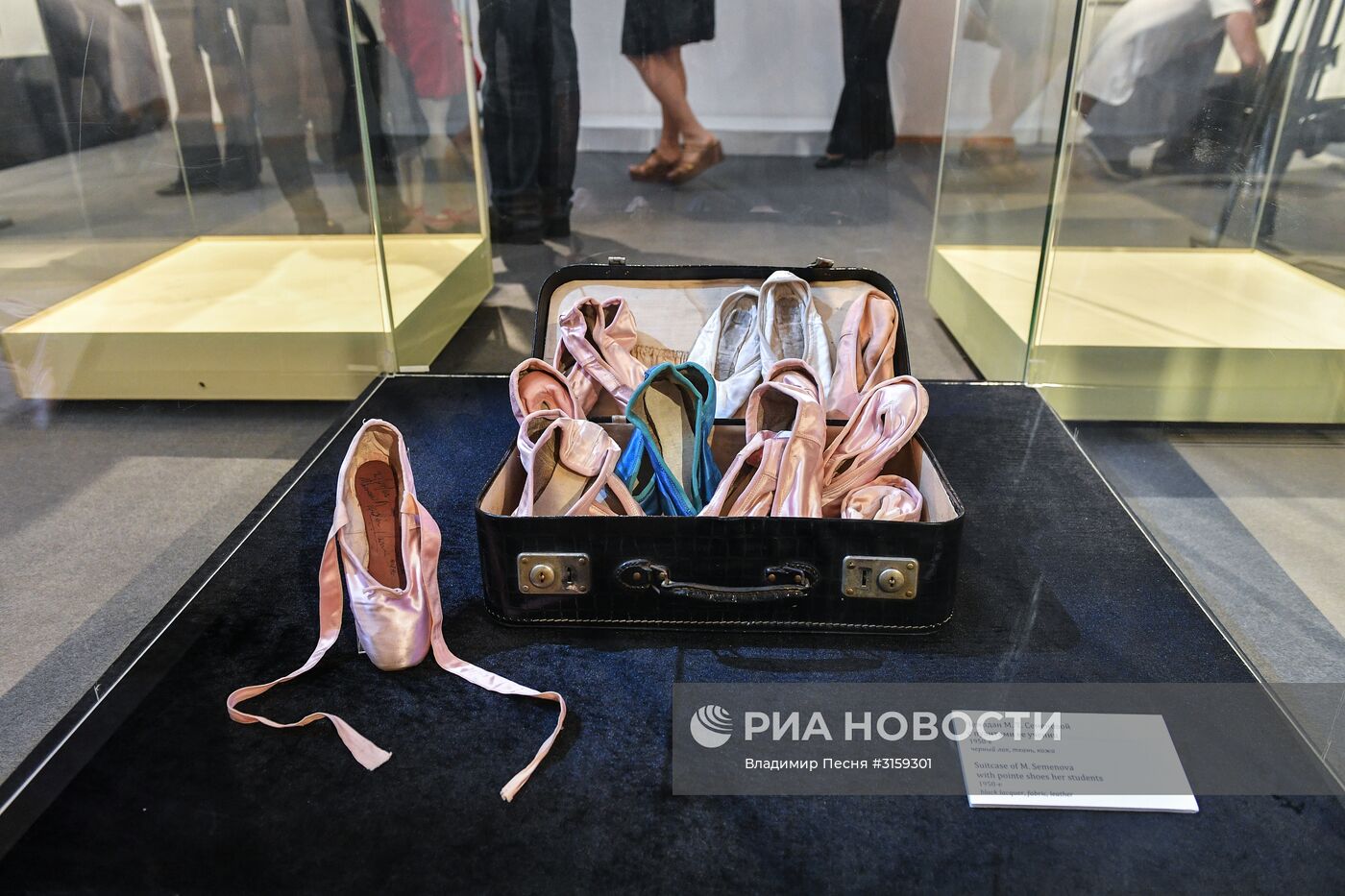 Открытие выставки "Лебединое озеро"