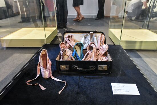 Открытие выставки "Лебединое озеро"