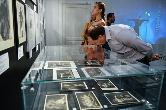 Открытие выставки "Лебединое озеро"