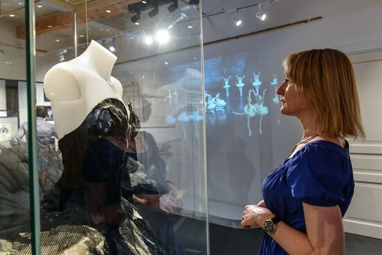 Открытие выставки "Лебединое озеро"