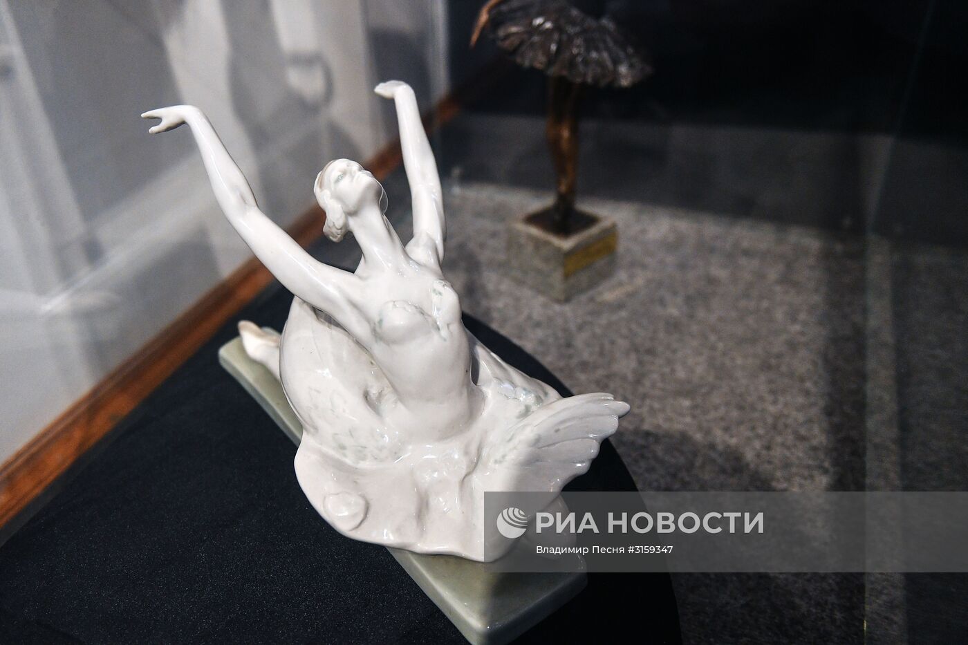 Открытие выставки "Лебединое озеро"