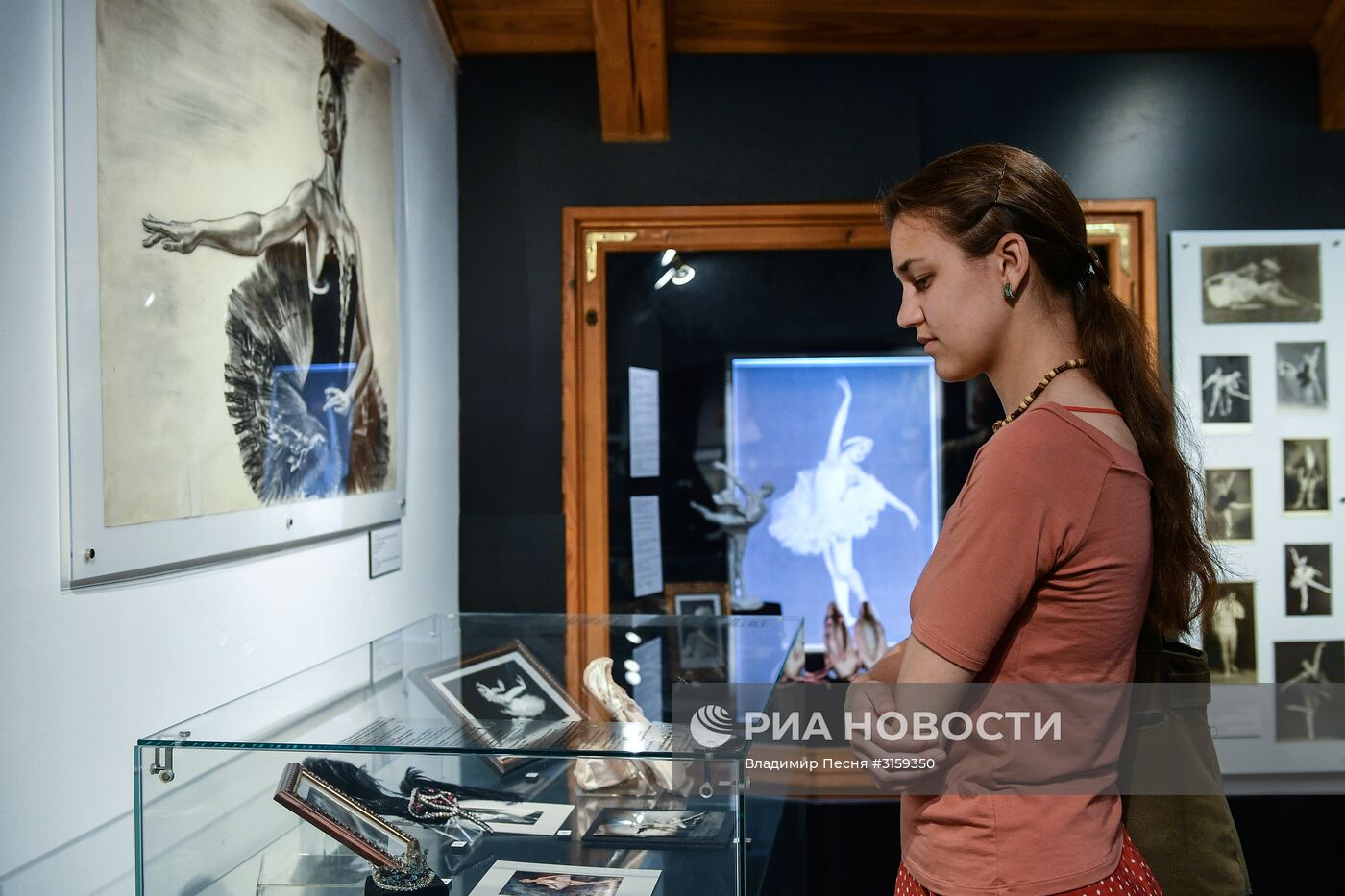 Открытие выставки "Лебединое озеро"