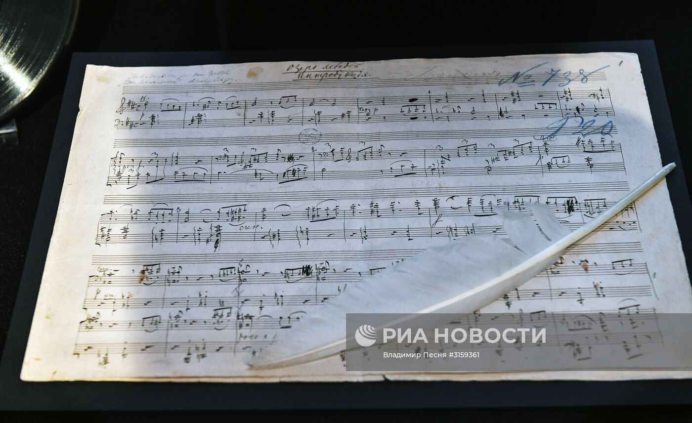 Открытие выставки "Лебединое озеро"