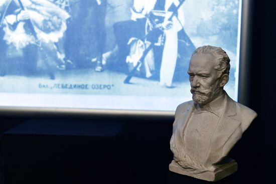 Открытие выставки "Лебединое озеро"