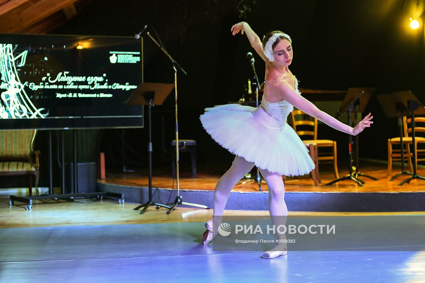 Открытие выставки "Лебединое озеро"