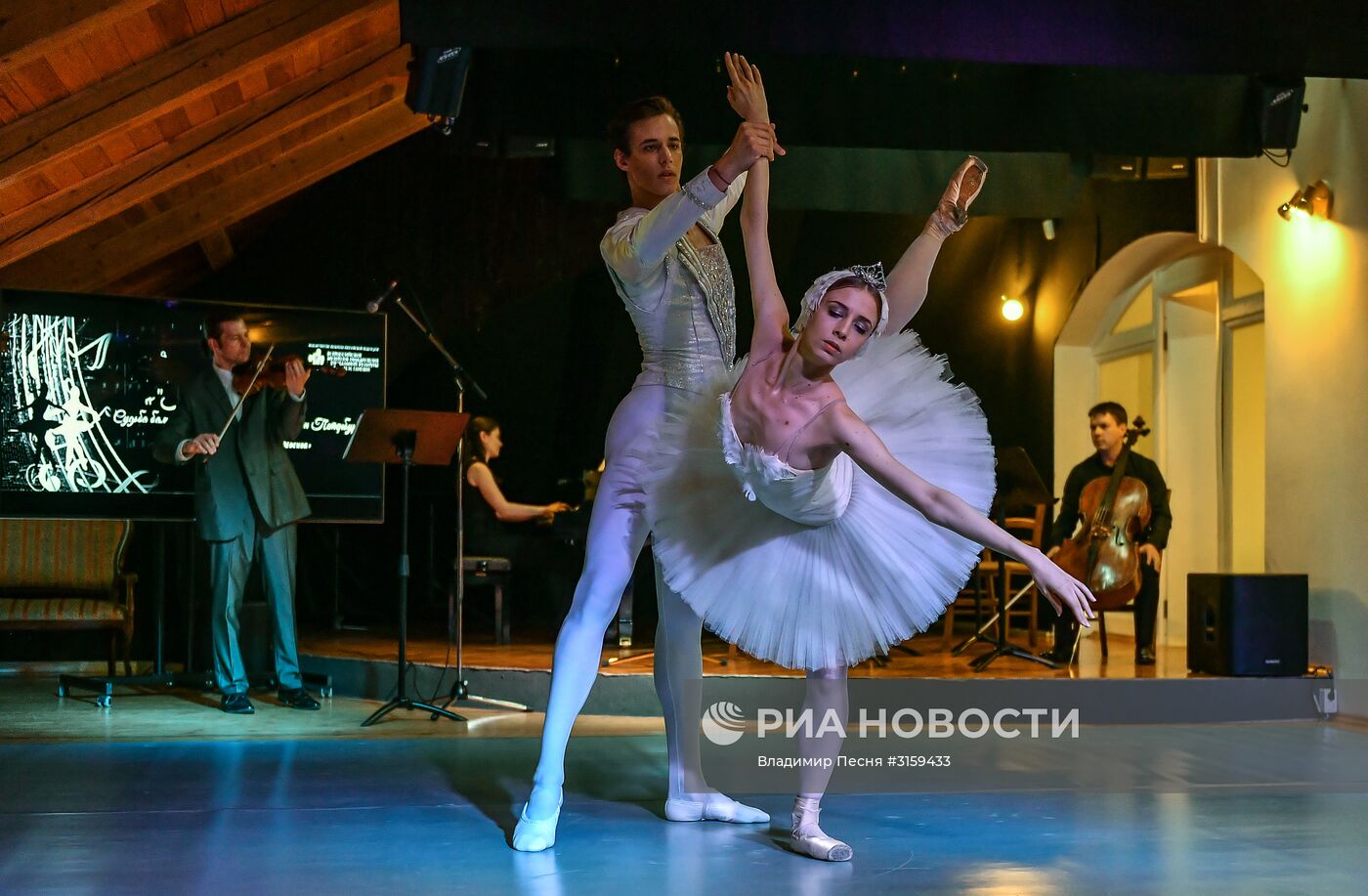 Открытие выставки "Лебединое озеро"