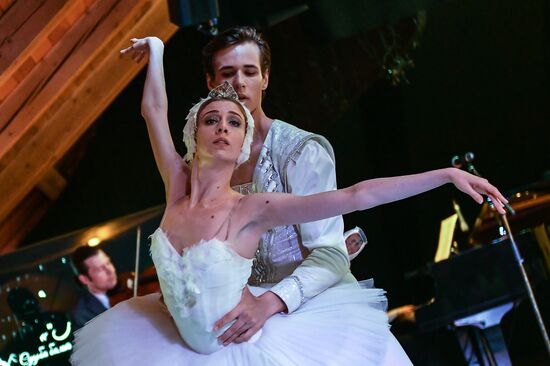 Открытие выставки "Лебединое озеро"