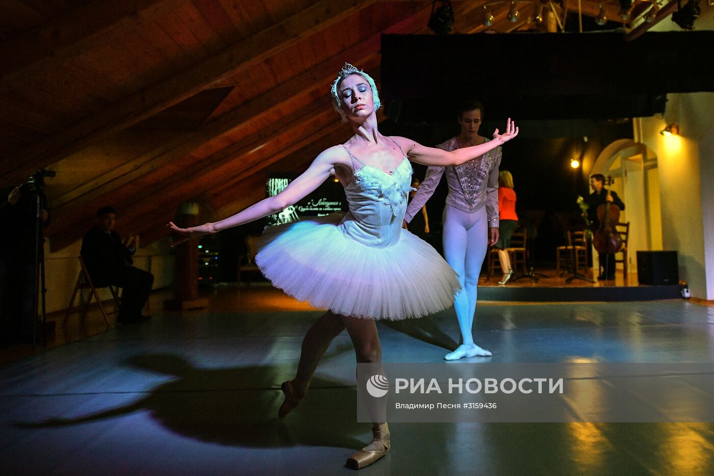 Открытие выставки "Лебединое озеро"