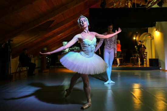 Открытие выставки "Лебединое озеро"