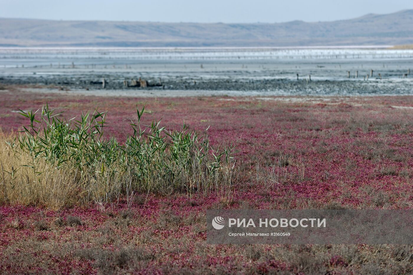 Чокракское озеро в Крыму