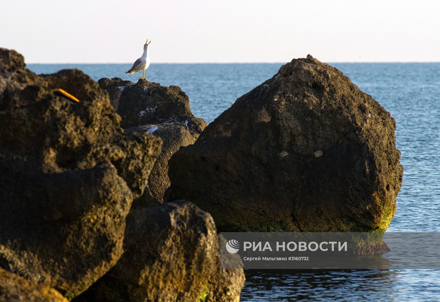 Отдых на Азовском побережье в Крыму
