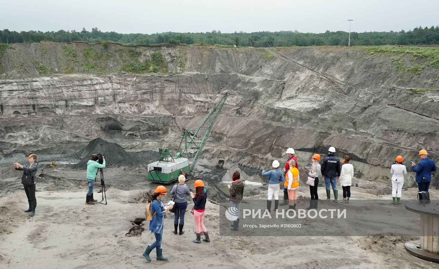 Янтарный комбинат в Калининграде | РИА Новости Медиабанк