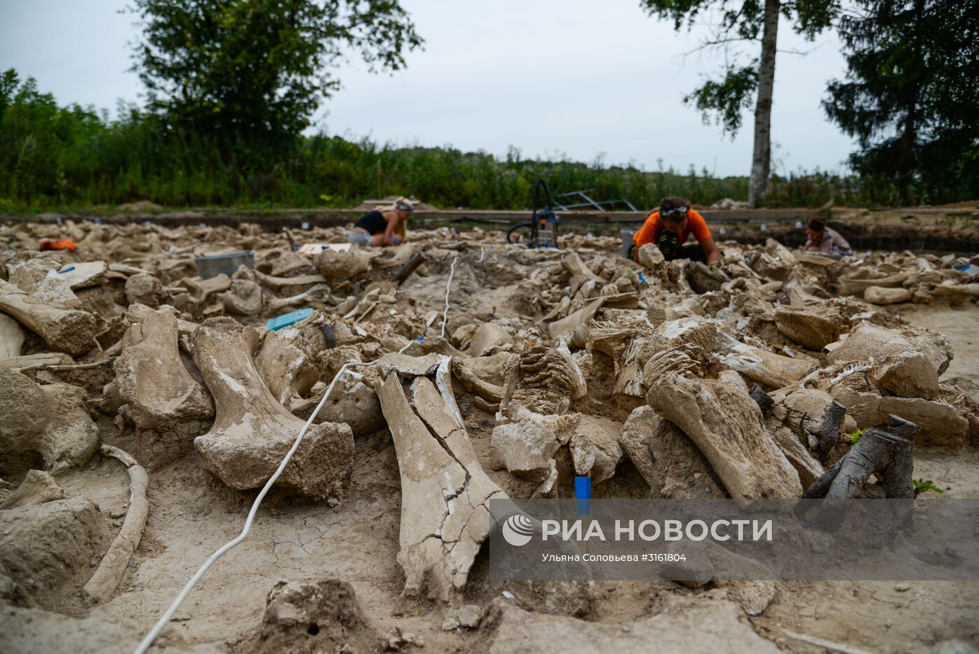 Археологический раскопки в Воронежской области