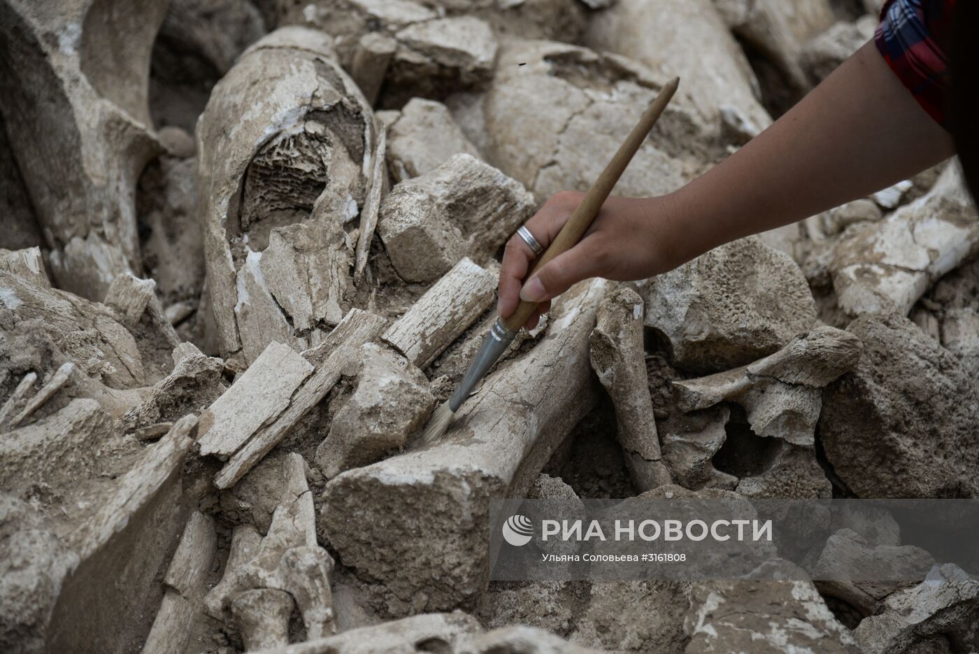 Археологический раскопки в Воронежской области