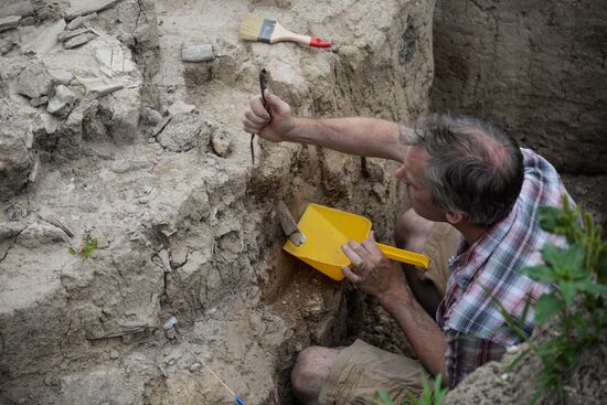 Археологический раскопки в Воронежской области