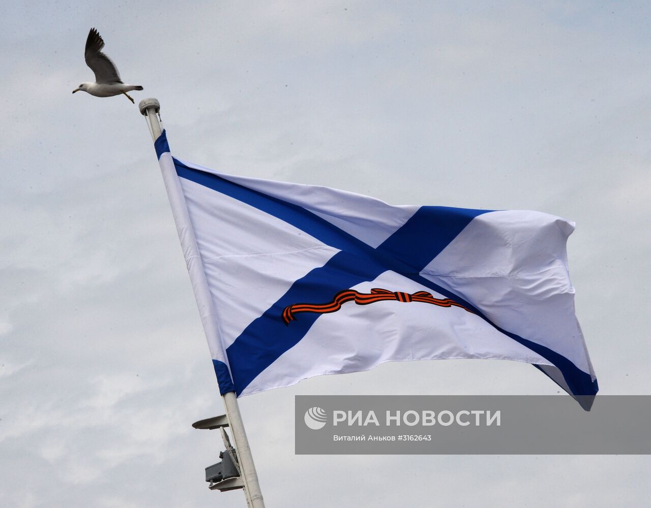 Празднование Дня ВМФ в городах России