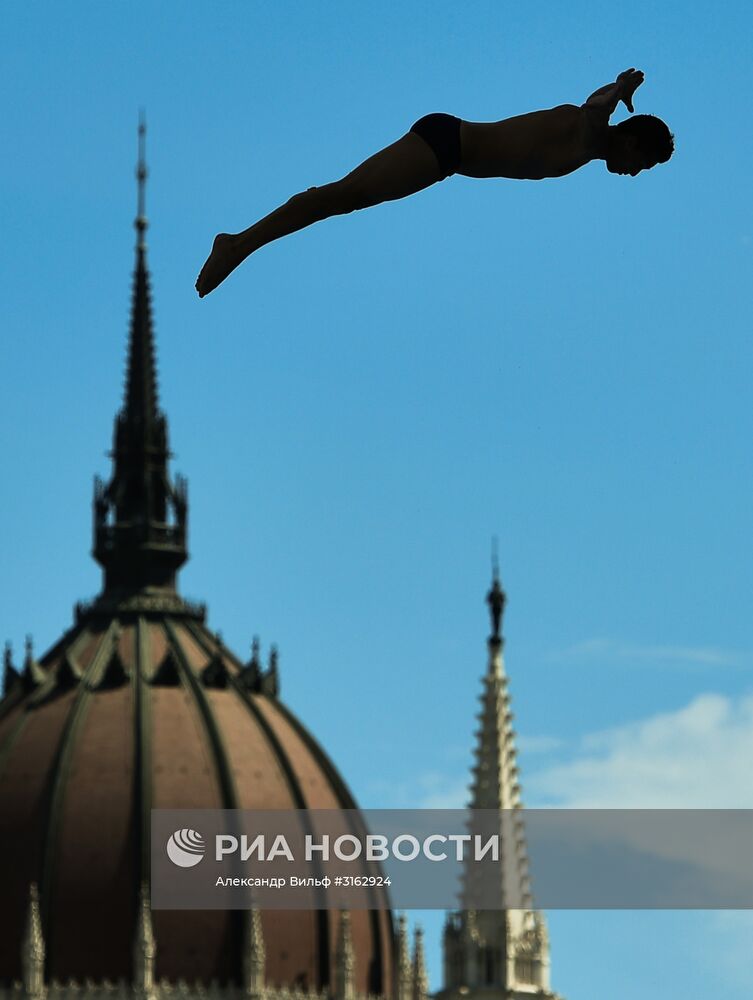 Чемпионат мира FINA 2017. Хайдайвинг. Мужчины