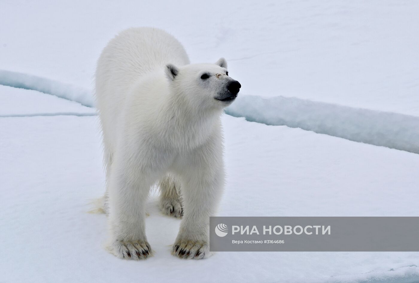 Экспедиция Национального парка "Русская Арктика"