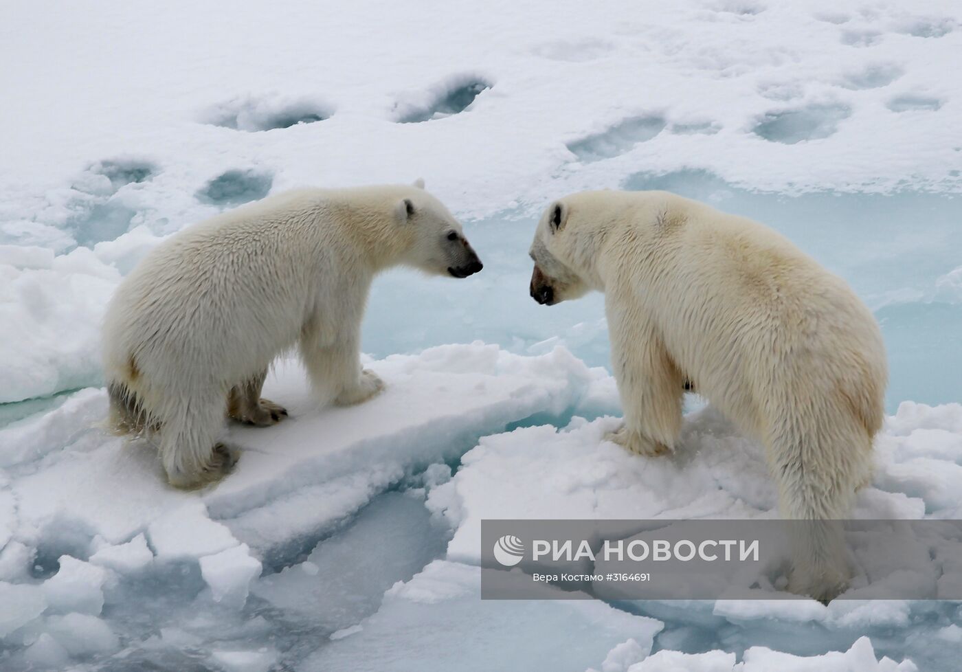 Экспедиция Национального парка "Русская Арктика"