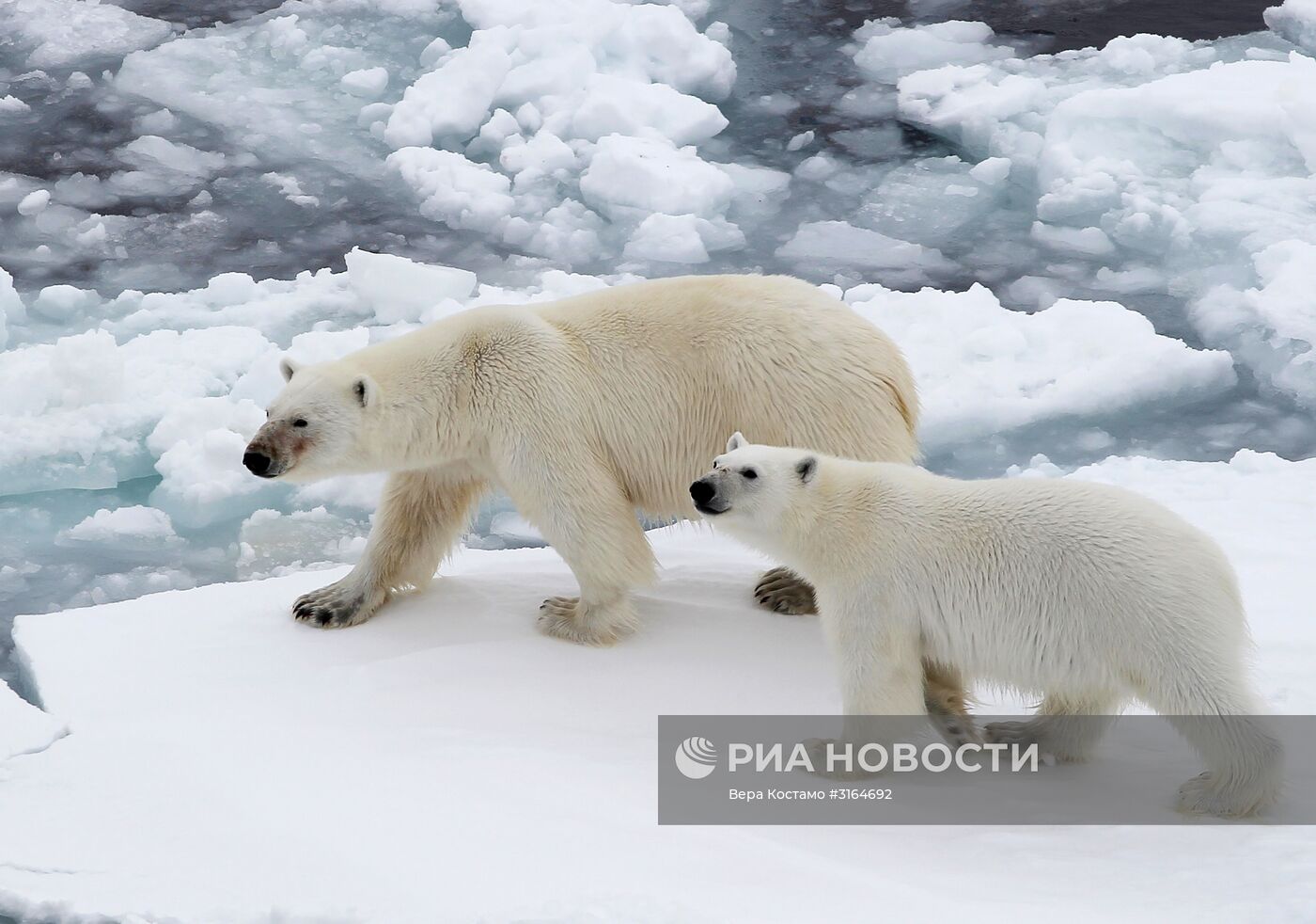 Экспедиция Национального парка "Русская Арктика"