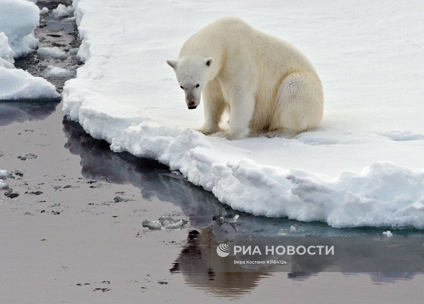 Экспедиция Национального парка "Русская Арктика"