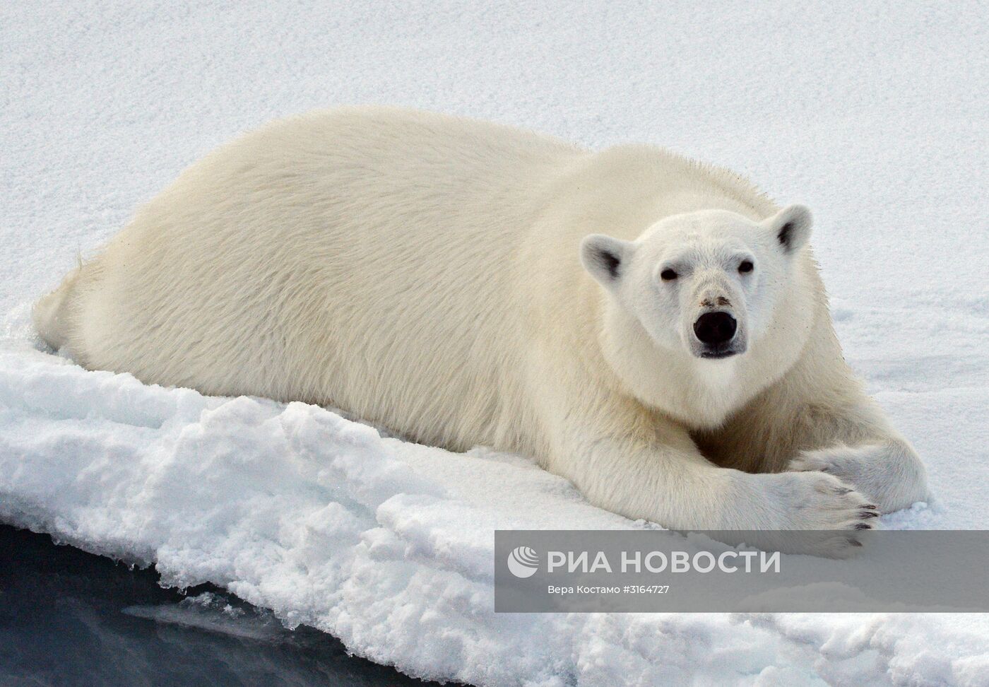 Экспедиция Национального парка "Русская Арктика"