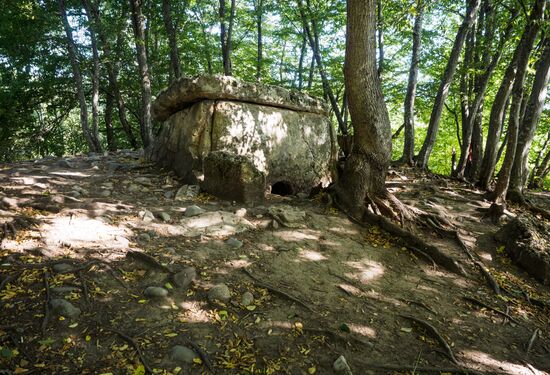 Регионы России. Республика Адыгея