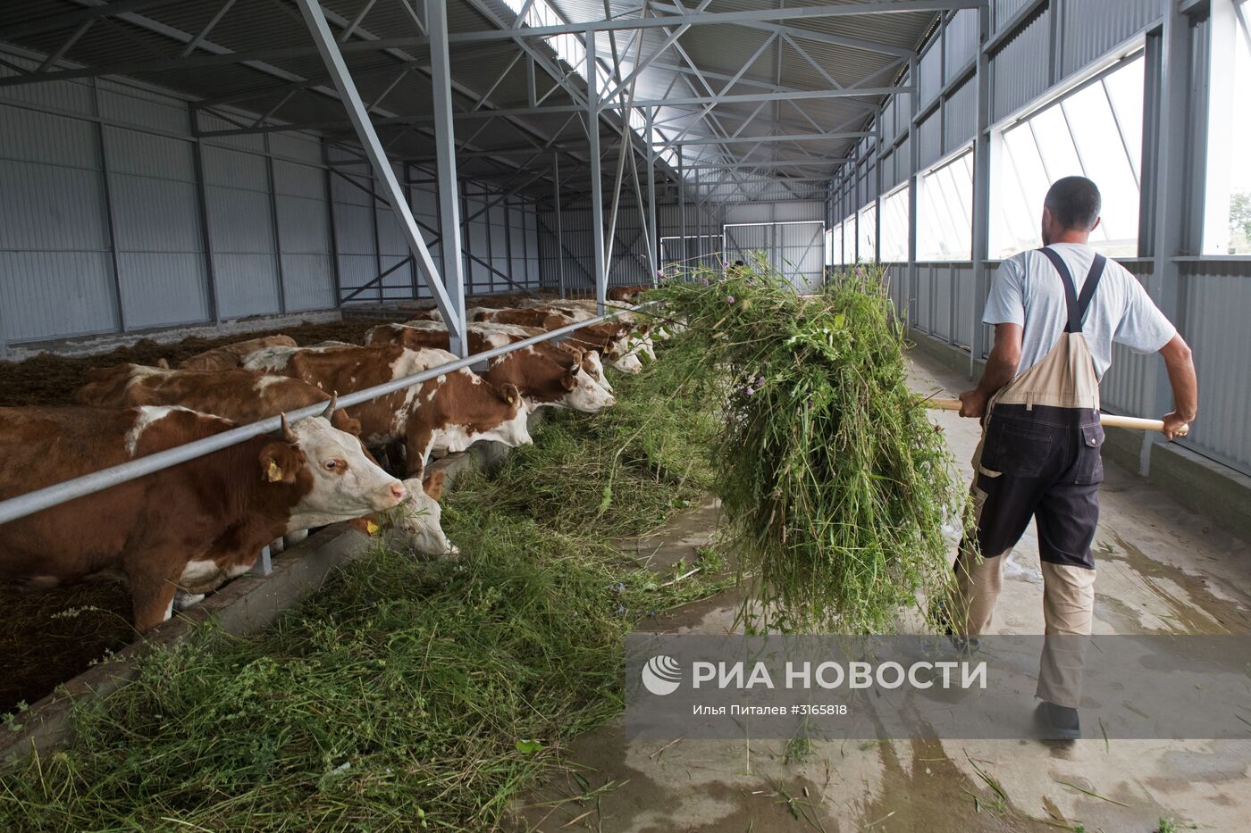 Фестиваль фермеров – сыроваров в Московской области