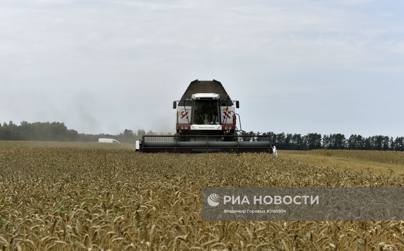 Уборка зерновых в хозяйствах Брянской области