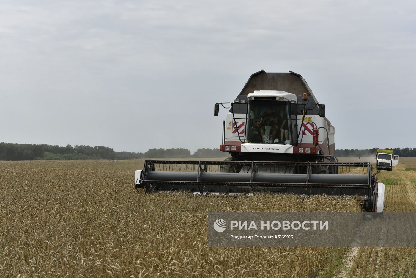 Уборка зерновых в хозяйствах Брянской области