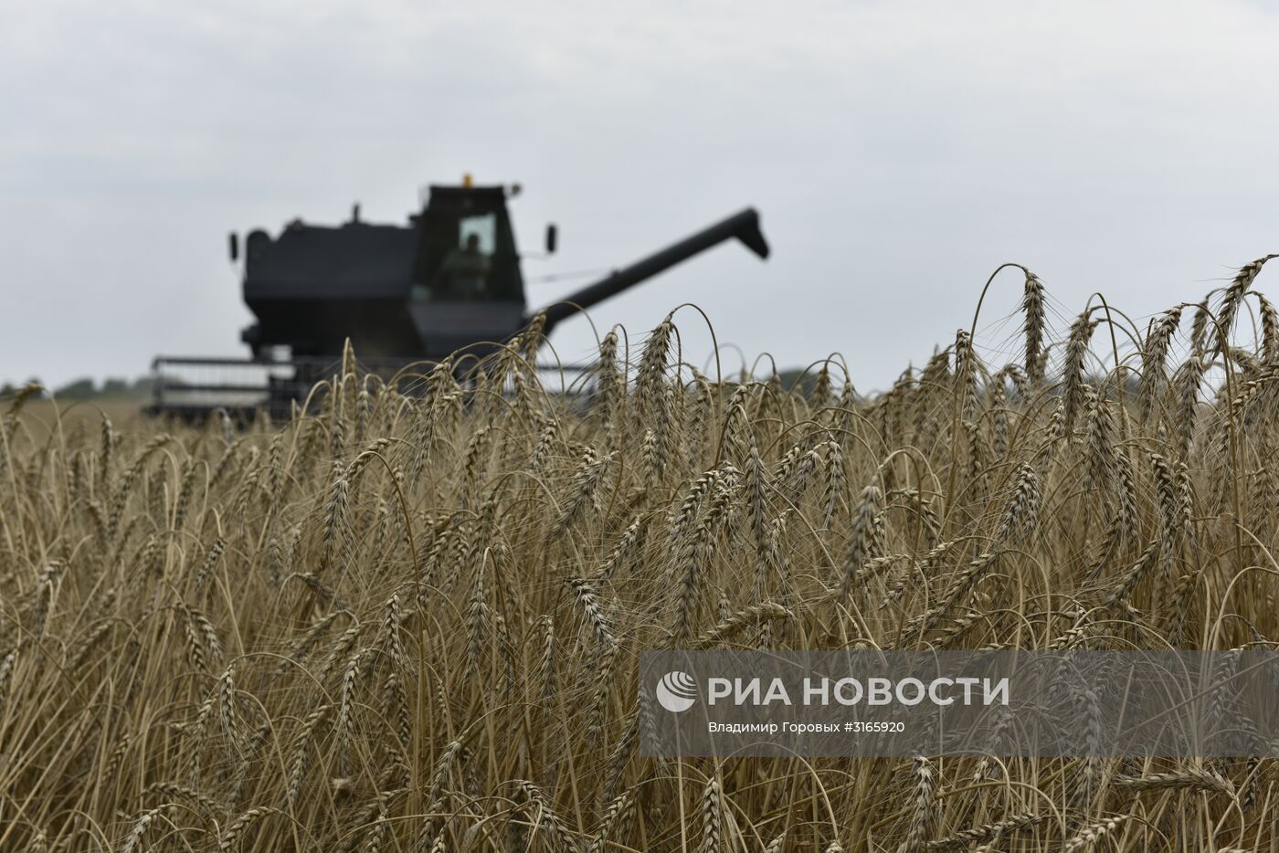 Уборка зерновых в хозяйствах Брянской области