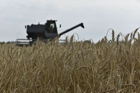 Уборка зерновых в хозяйствах Брянской области