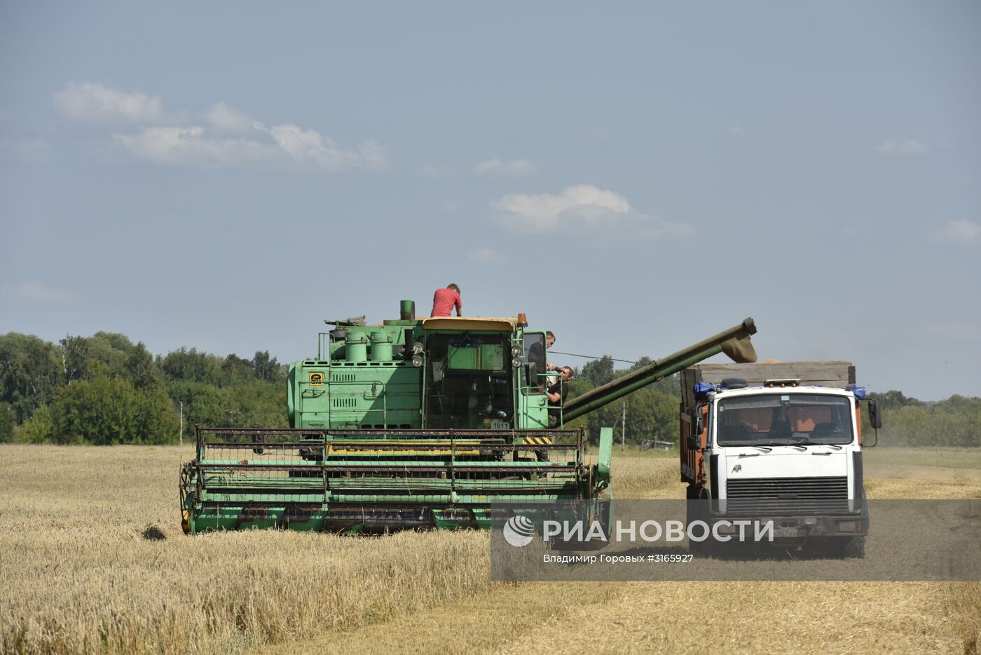 Уборка зерновых в хозяйствах Брянской области