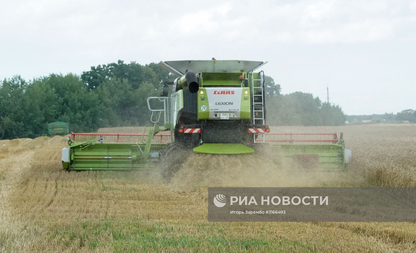 Агропромышленный фестиваль "День Балтийского поля-2017"