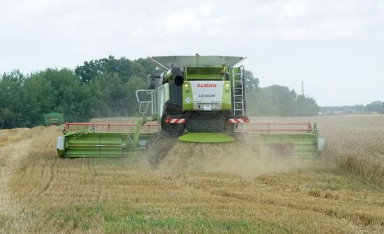 Агропромышленный фестиваль "День Балтийского поля-2017"