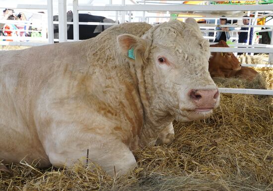 Агропромышленный фестиваль "День Балтийского поля-2017"