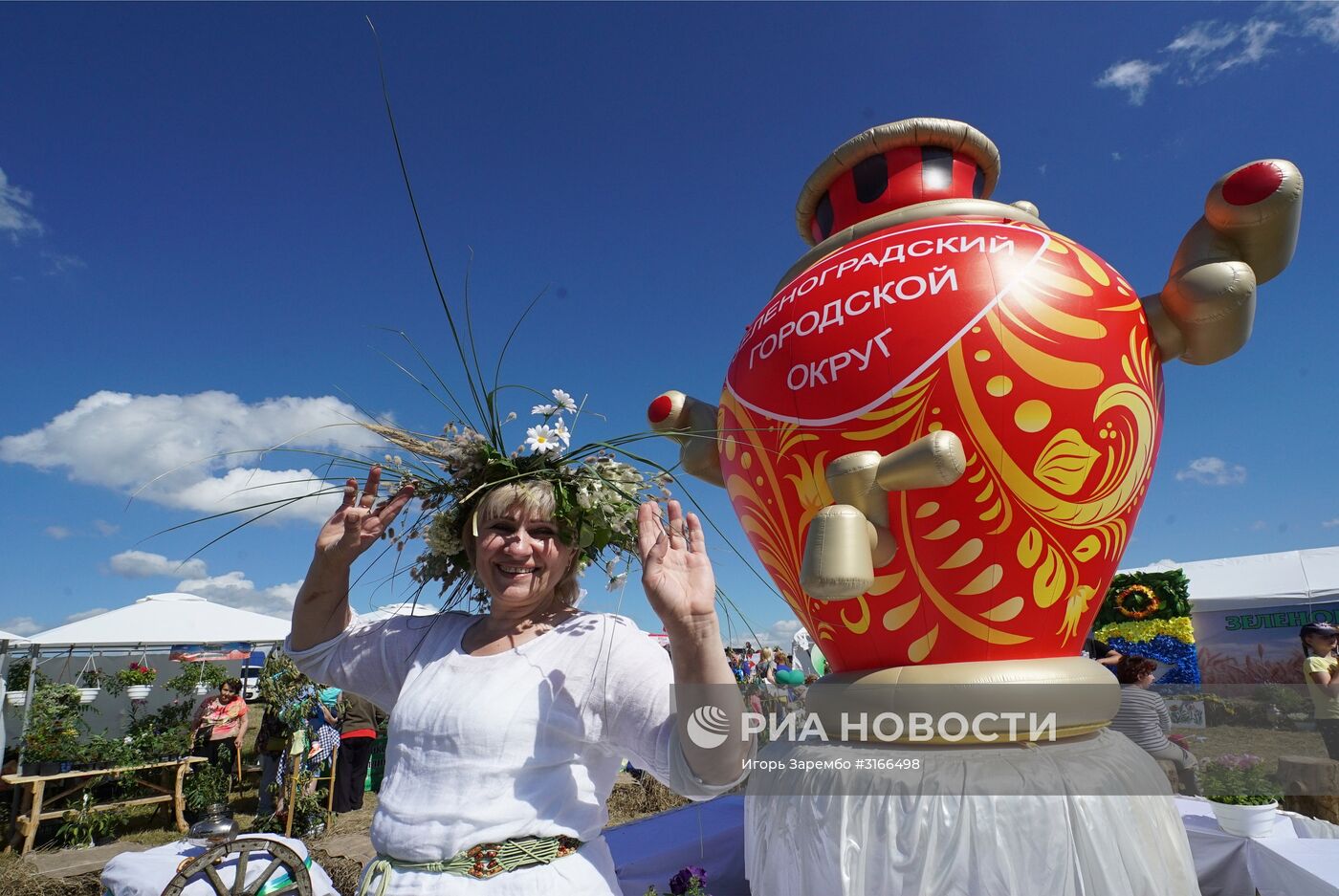 Агропромышленный фестиваль "День Балтийского поля-2017"