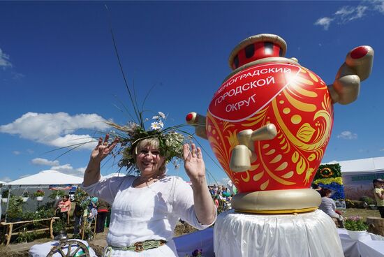 Агропромышленный фестиваль "День Балтийского поля-2017"