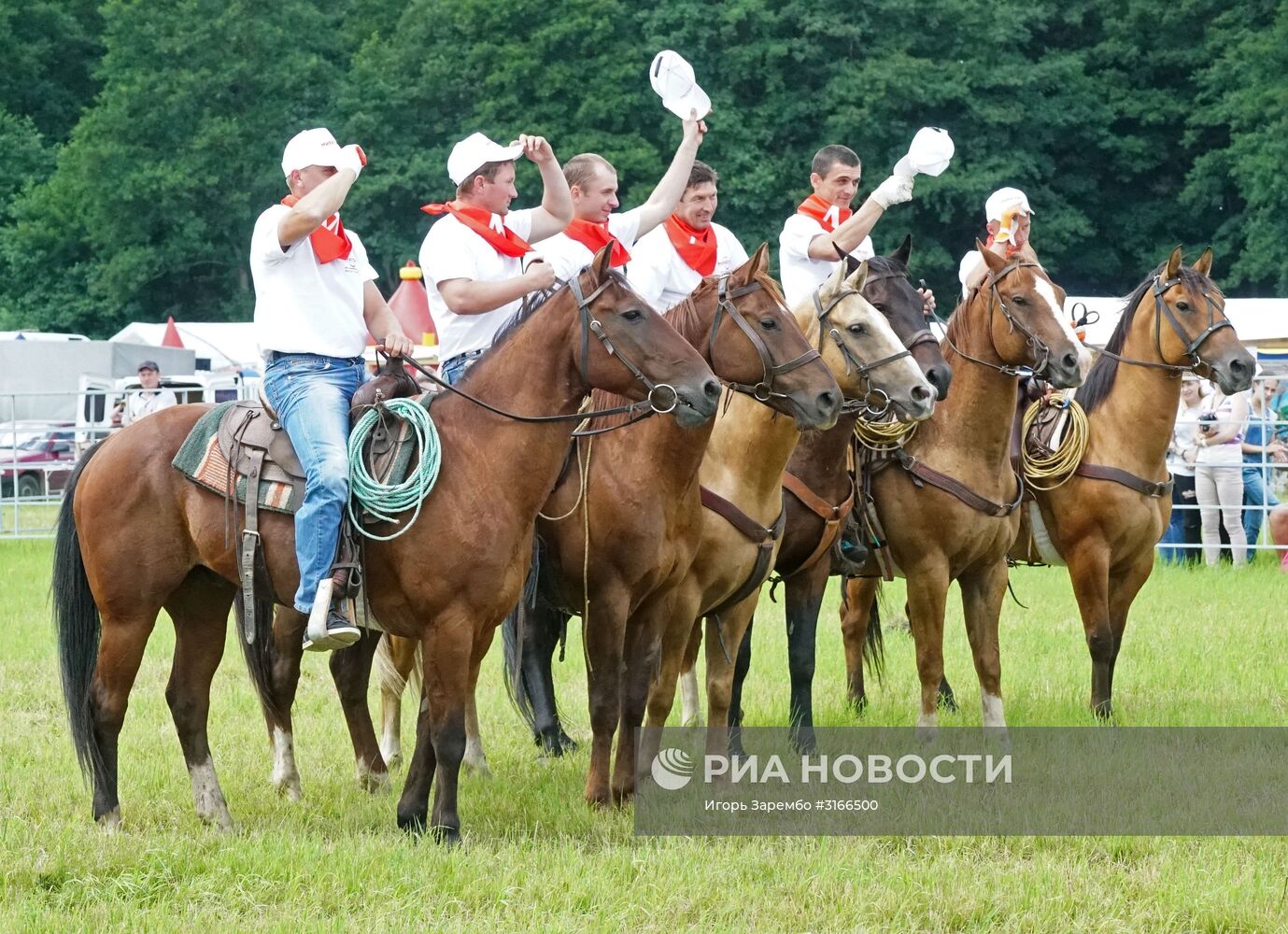 Агропромышленный фестиваль "День Балтийского поля-2017"