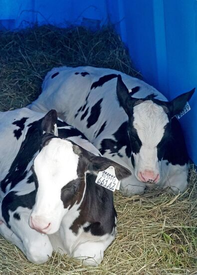 Агропромышленный фестиваль "День Балтийского поля-2017"