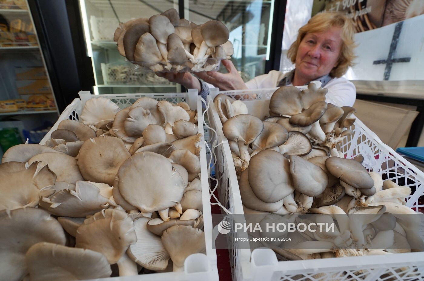 Агропромышленный фестиваль "День Балтийского поля-2017"