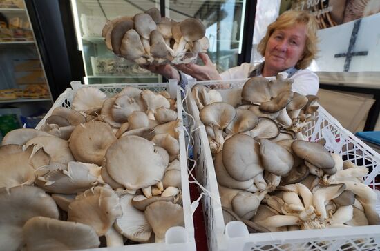 Агропромышленный фестиваль "День Балтийского поля-2017"