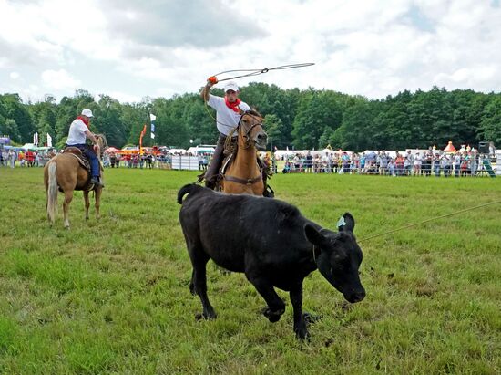 Агропромышленный фестиваль "День Балтийского поля-2017"